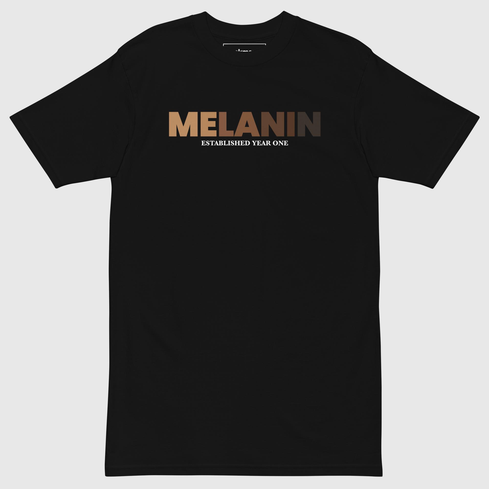 mens-premium-heavyweight-tee-black-front-690f6f40c655e.jpg Melanin Year One Tee - Image 1